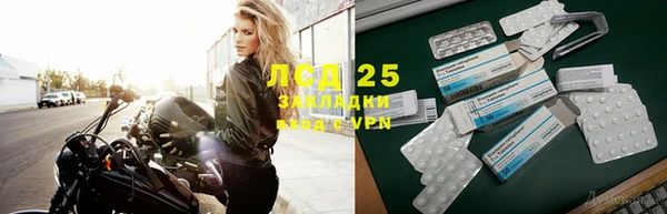 ГАЛЛЮЦИНОГЕННЫЕ ГРИБЫ Алексеевка
