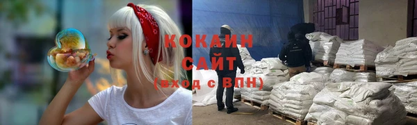 ешки Алзамай