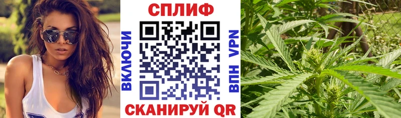 Конопля OG Kush Калачинск